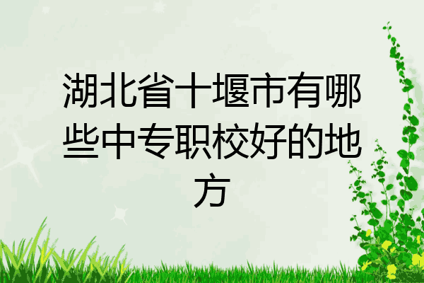 湖北省十堰市有哪些中专职校好的地方