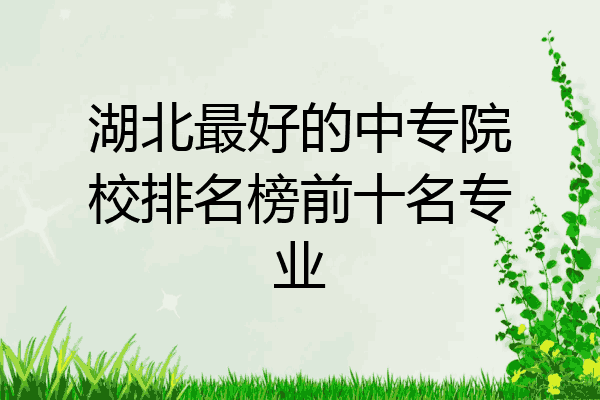 湖北最好的中专院校排名榜前十名专业