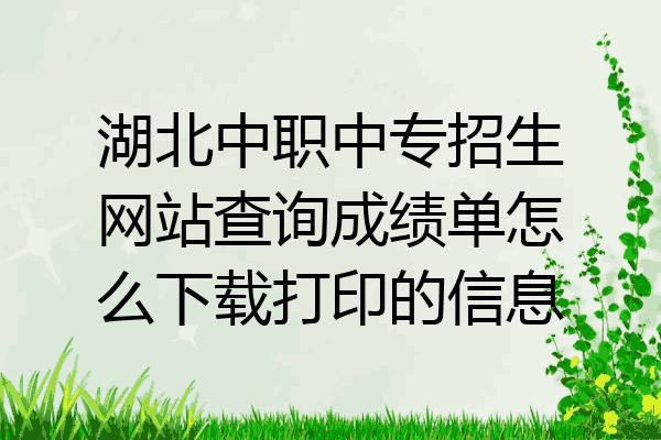 湖北中职中专招生网站查询成绩单怎么下载打印的信息