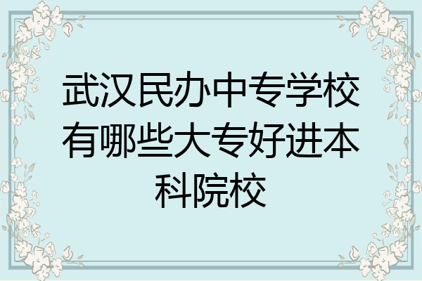 武汉民办中专学校有哪些大专好进本科院校