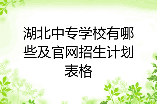 湖北中专学校有哪些及官网招生计划表格