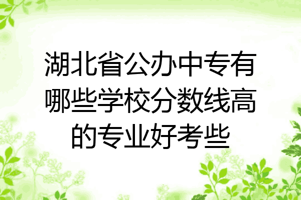 湖北省公办中专有哪些学校分数线高的专业好考些