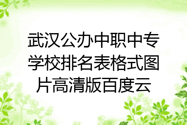 武汉公办中职中专学校排名表格式图片高清版百度云