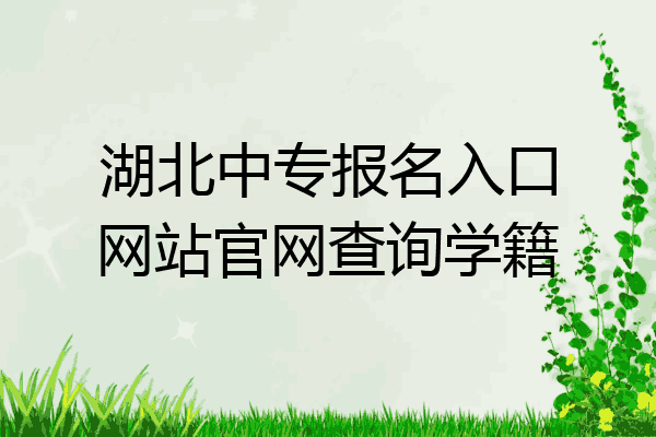 湖北中专报名入口网站官网查询学籍