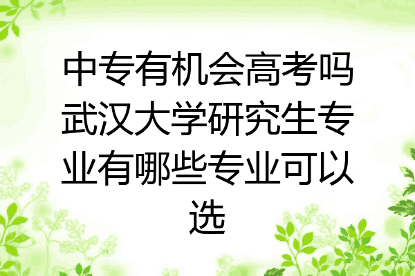 中专有机会高考吗武汉大学研究生专业有哪些专业可以选