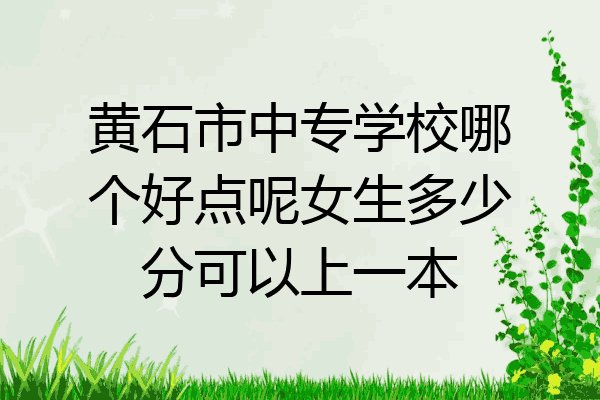 黄石市中专学校哪个好点呢女生多少分可以上一本