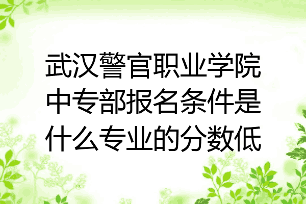 武汉警官职业学院中专部报名条件是什么专业的分数低