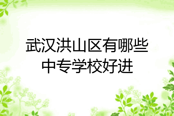 武汉洪山区有哪些中专学校好进