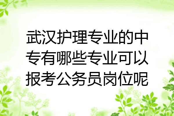 武汉护理专业的中专有哪些专业可以报考公务员岗位呢