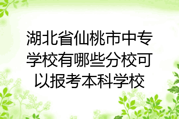 湖北省仙桃市中专学校有哪些分校可以报考本科学校