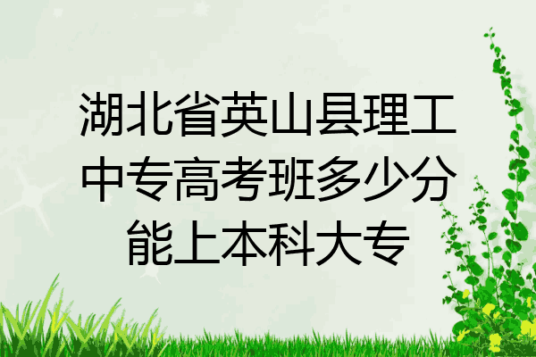湖北省英山县理工中专高考班多少分能上本科大专