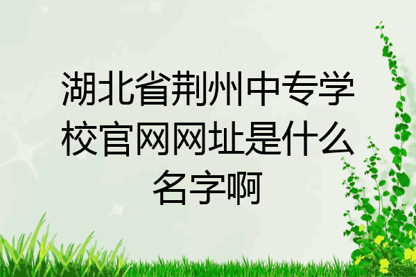 湖北省荆州中专学校官网网址是什么名字啊