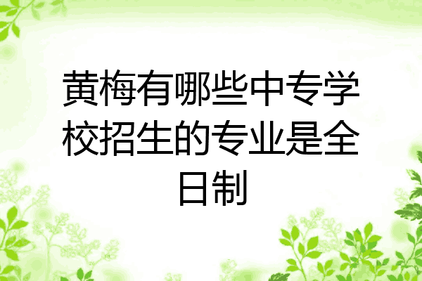黄梅有哪些中专学校招生的专业是全日制