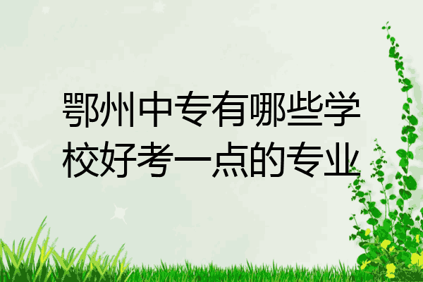 鄂州中专有哪些学校好考一点的专业