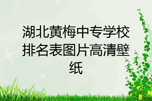 湖北黄梅中专学校排名表图片高清壁纸
