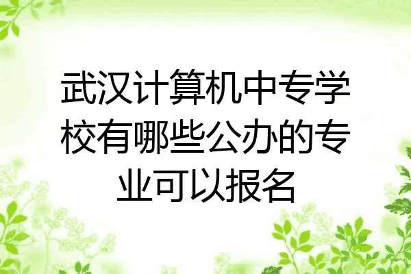 武汉计算机中专学校有哪些公办的专业可以报名