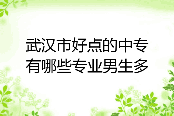武汉市好点的中专有哪些专业男生多