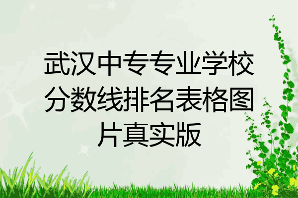 武汉中专专业学校分数线排名表格图片真实版