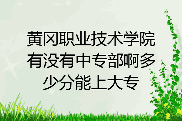 黄冈职业技术学院有没有中专部啊多少分能上大专