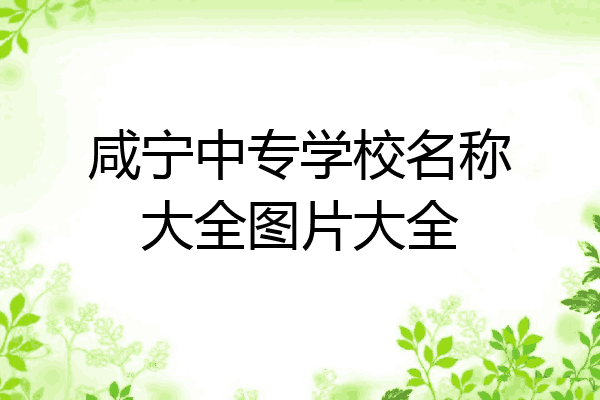 咸宁中专学校名称大全图片大全