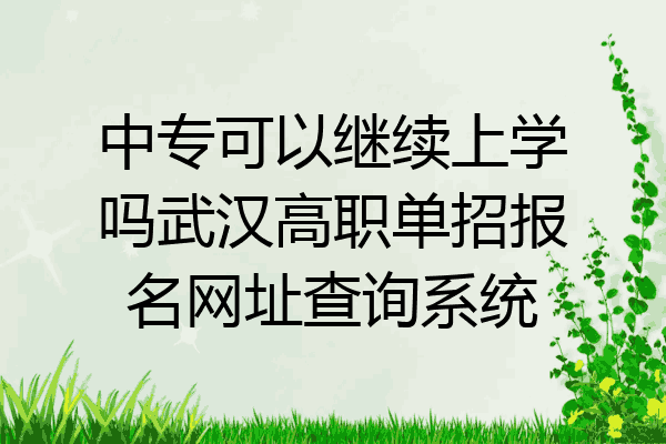 中专可以继续上学吗武汉高职单招报名网址查询系统