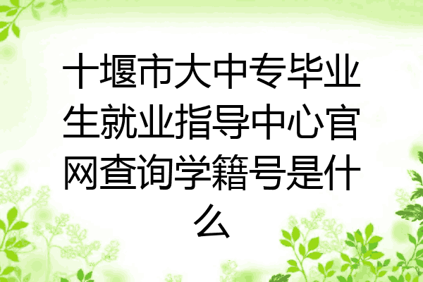 十堰市大中专毕业生就业指导中心官网查询学籍号是什么