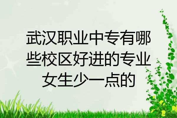 武汉职业中专有哪些校区好进的专业女生少一点的