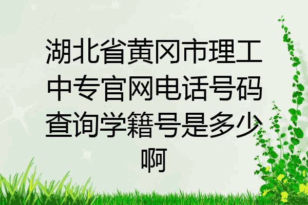 湖北省黄冈市理工中专官网电话号码查询学籍号是多少啊
