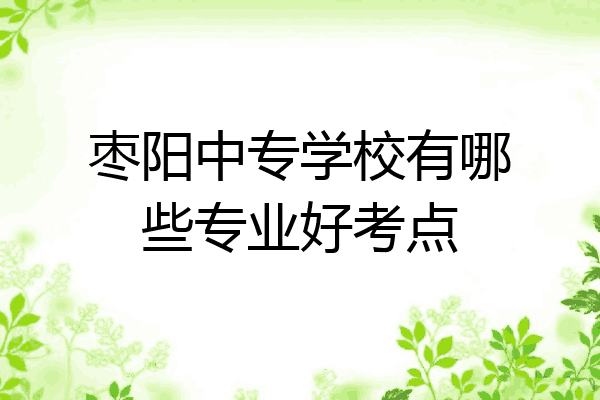 枣阳中专学校有哪些专业好考点