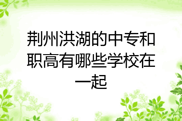 荆州洪湖的中专和职高有哪些学校在一起