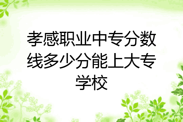 孝感职业中专分数线多少分能上大专学校