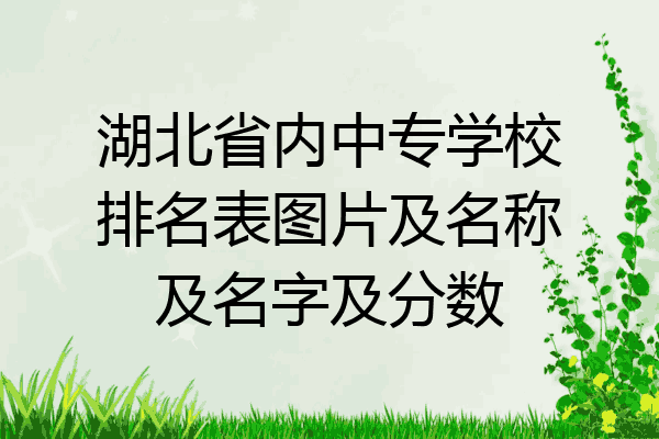 湖北省内中专学校排名表图片及名称及名字及分数