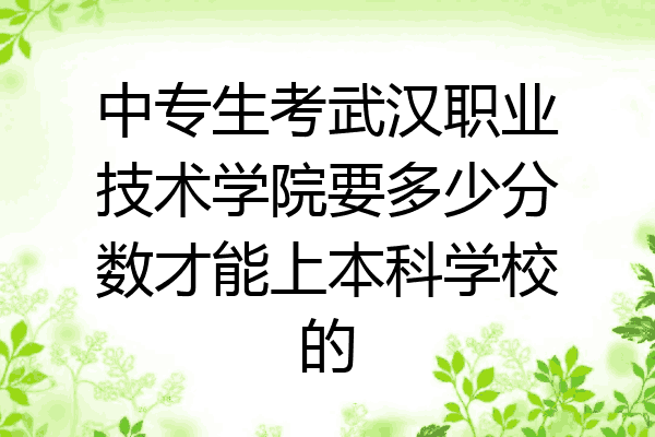 中专生考武汉职业技术学院要多少分数才能上本科学校的