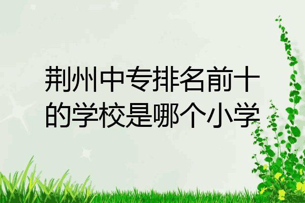 荆州中专排名前十的学校是哪个小学