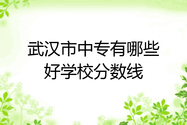 武汉市中专有哪些好学校分数线