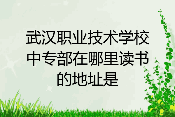 武汉职业技术学校中专部在哪里读书的地址是