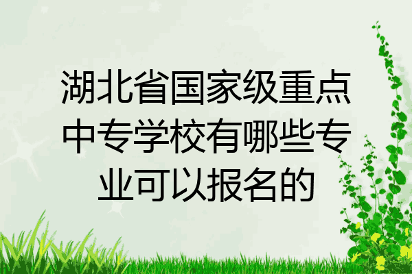 湖北省国家级重点中专学校有哪些专业可以报名的
