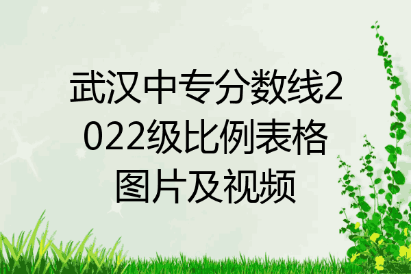 武汉中专分数线2022级比例表格图片及视频