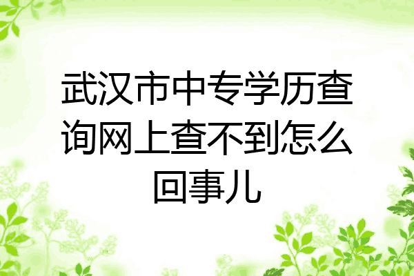 武汉市中专学历查询网上查不到怎么回事儿
