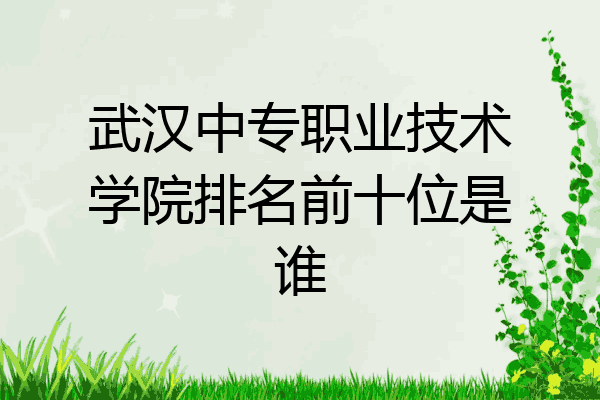 武汉中专职业技术学院排名前十位是谁