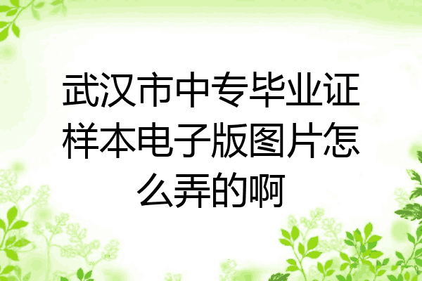 武汉市中专毕业证样本电子版图片怎么弄的啊