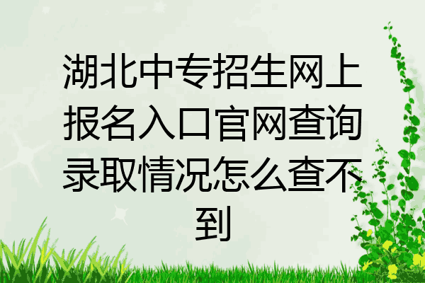 湖北中专招生网上报名入口官网查询录取情况怎么查不到