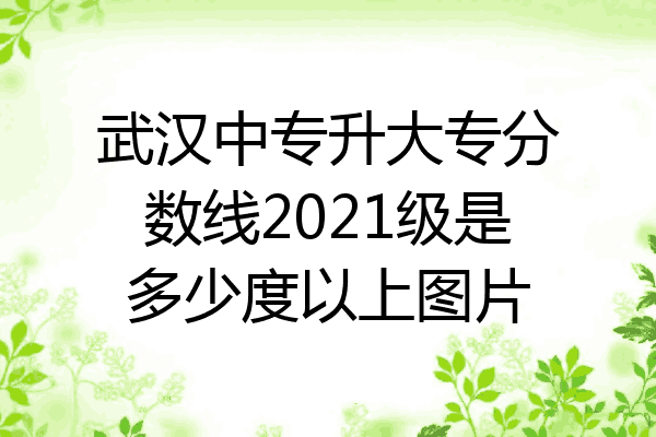 武汉中专升大专分数线2021级是多少度以上图片