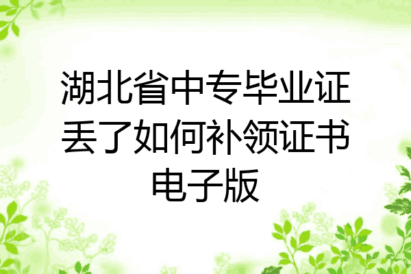湖北省中专毕业证丢了如何补领证书电子版