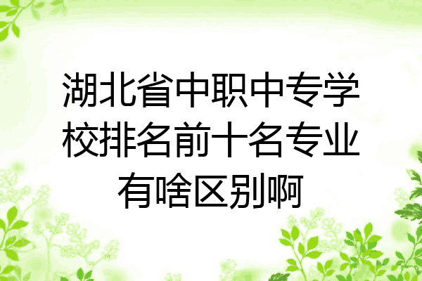 湖北省中职中专学校排名前十名专业有啥区别啊