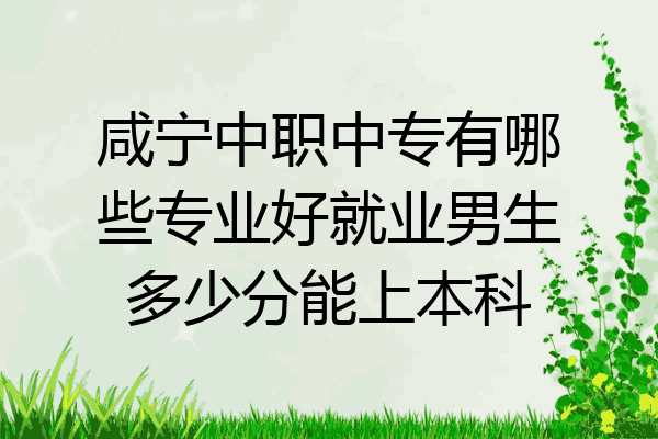 咸宁中职中专有哪些专业好就业男生多少分能上本科