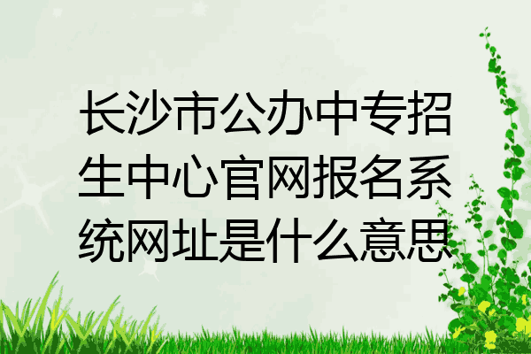 长沙市公办中专招生中心官网报名系统网址是什么意思