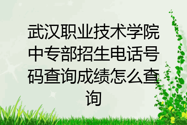 武汉职业技术学院中专部招生电话号码查询成绩怎么查询