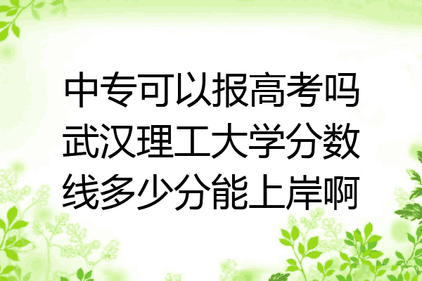 中专可以报高考吗武汉理工大学分数线多少分能上岸啊