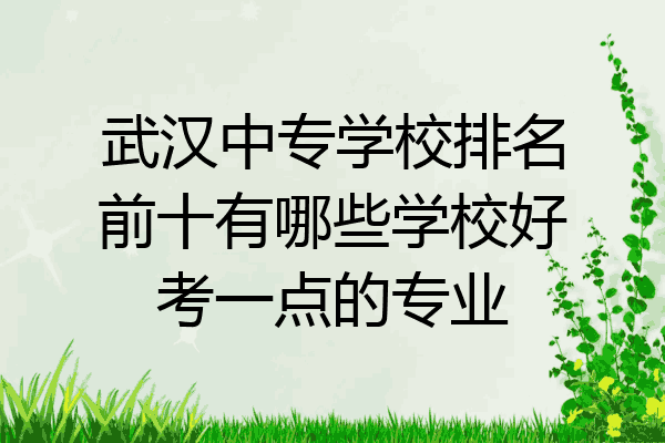 武汉中专学校排名前十有哪些学校好考一点的专业